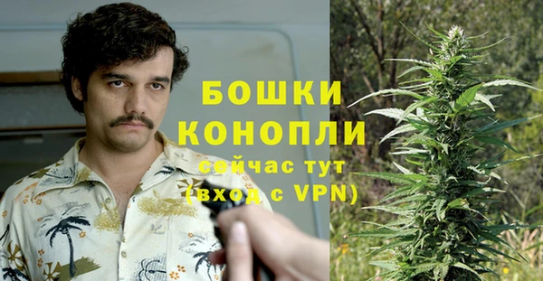 трава Арсеньев