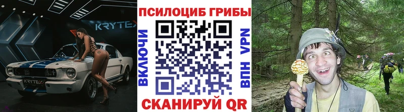 Псилоцибиновые грибы мухоморы  kraken онион  Дно 